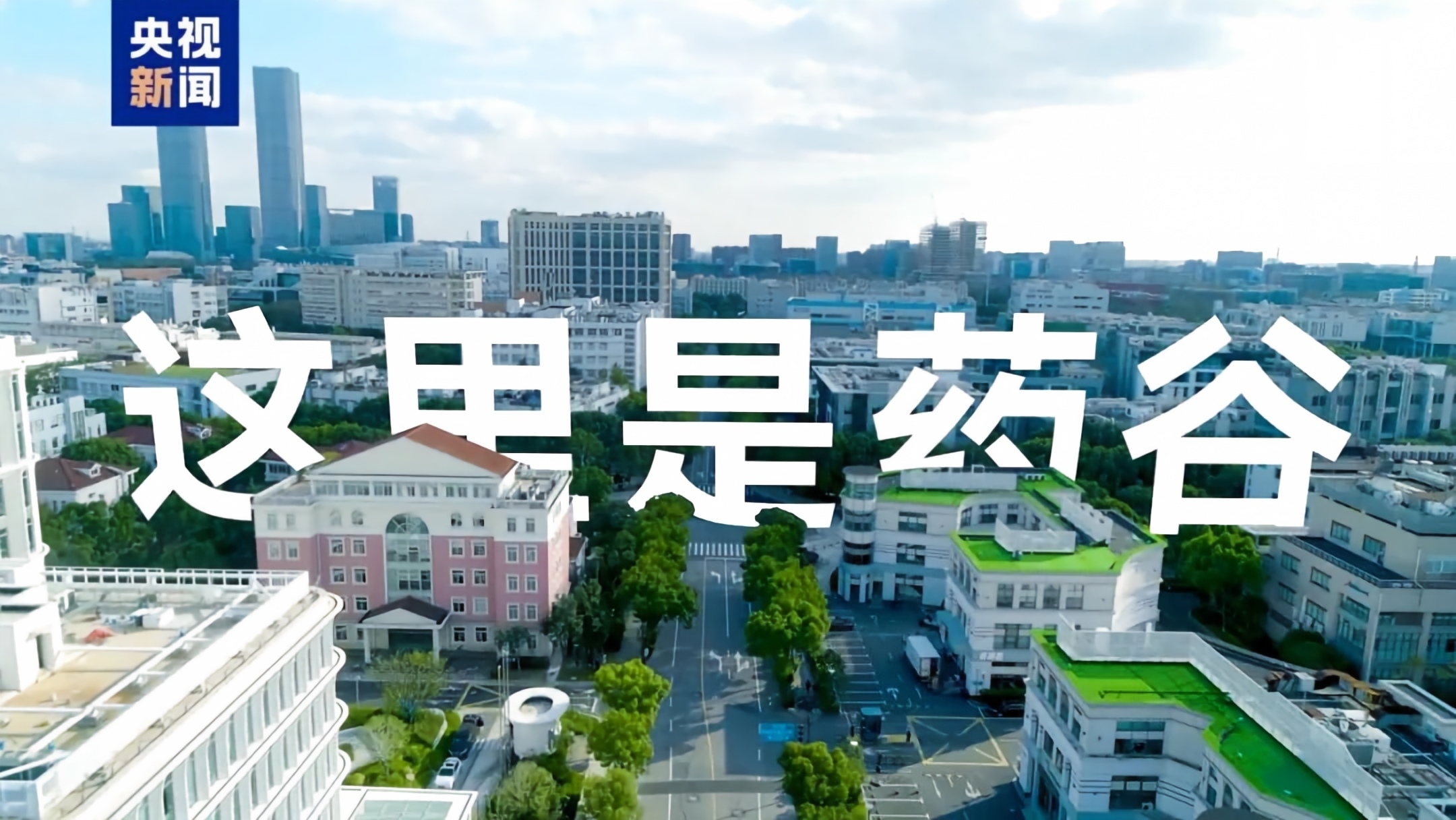 活力中国调研行丨中国“药”从这里走向全球
